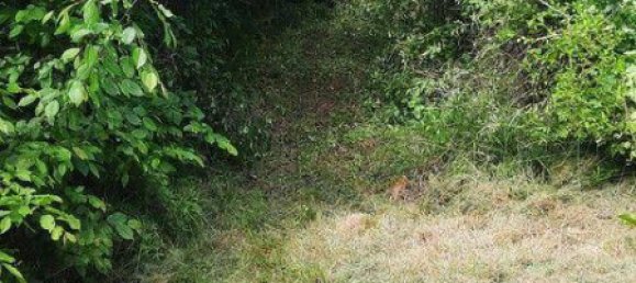  قطعة أرض في Krems an der Donau, Austria 8272متر مربع رقم 228562 5