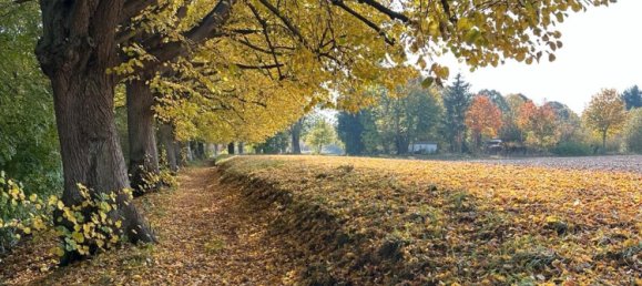 Casa T1 em Segeberg, Germany N.º 292953 20