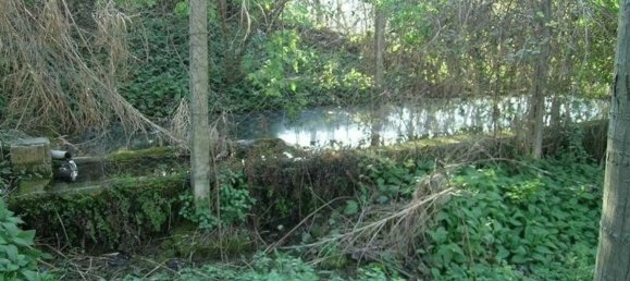 Studio in Campofilone, Italy, Nr. 178380 20