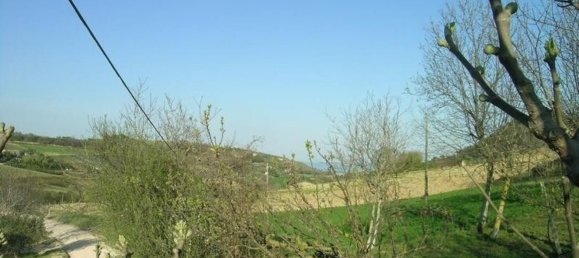 Studio in Campofilone, Italy, Nr. 178380 12