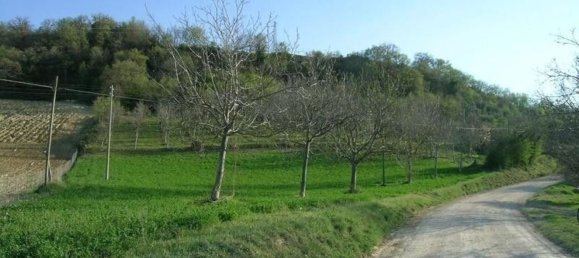 Studio in Campofilone, Italy, Nr. 178380 16