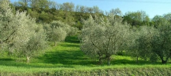 Studio in Campofilone, Italy, Nr. 178380 10