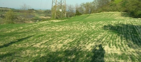 Studio in Campofilone, Italy, Nr. 178380 14