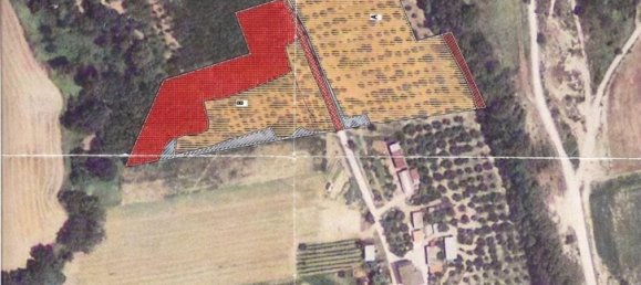 Studio in Campofilone, Italy, Nr. 178380 26