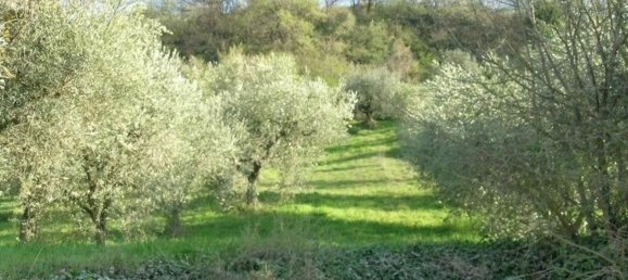 Studio in Campofilone, Italy, Nr. 178380 17