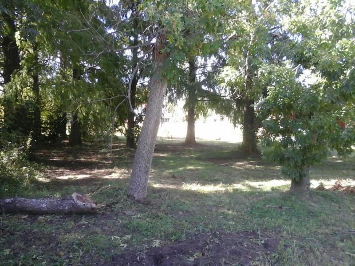  Land in Presidente Peron, Argentina No. 49264