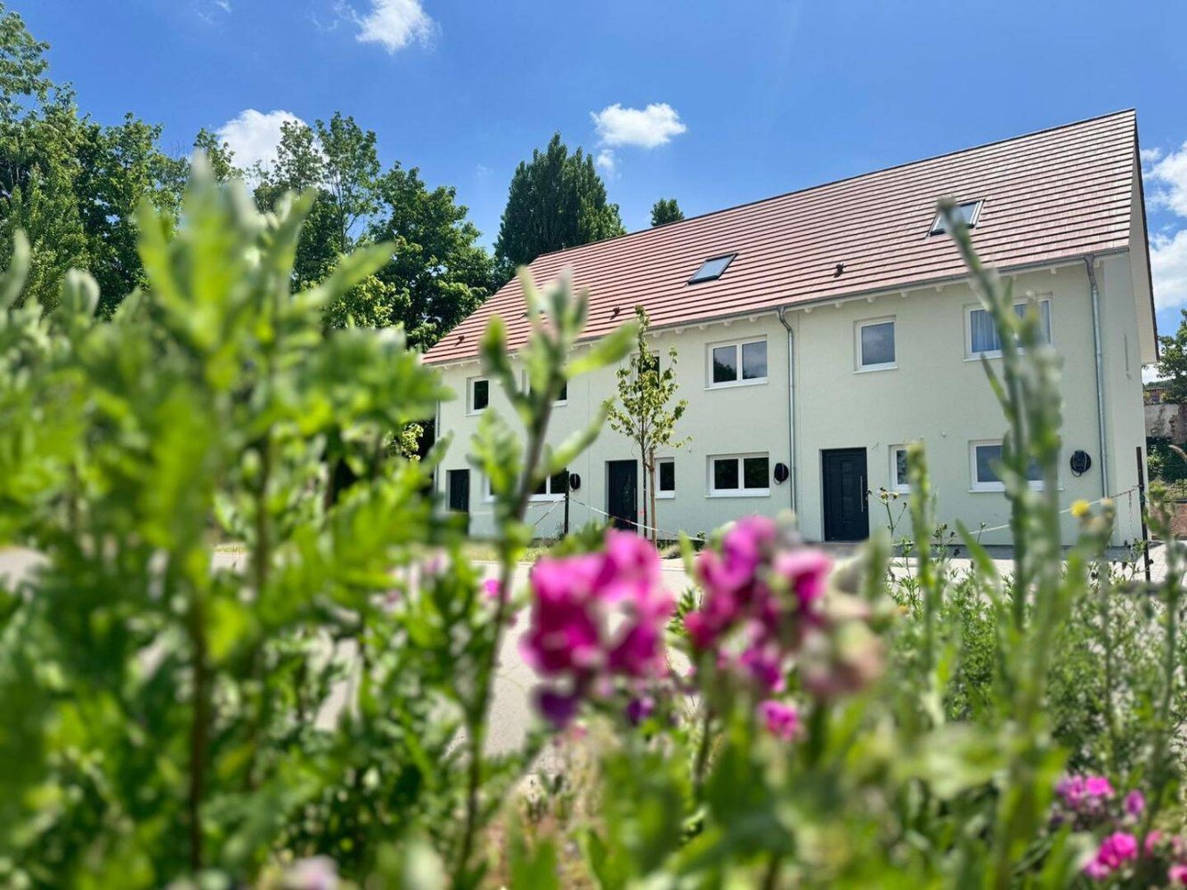 Adosado de 4 habitaciónes en Harz, Germany No. 155541