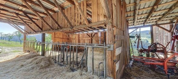 4 Schlafzimmer Haus in Gerardmer, France, Nr. 66347 8