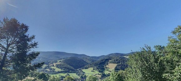 4 Schlafzimmer Haus in Gerardmer, France, Nr. 66347 2