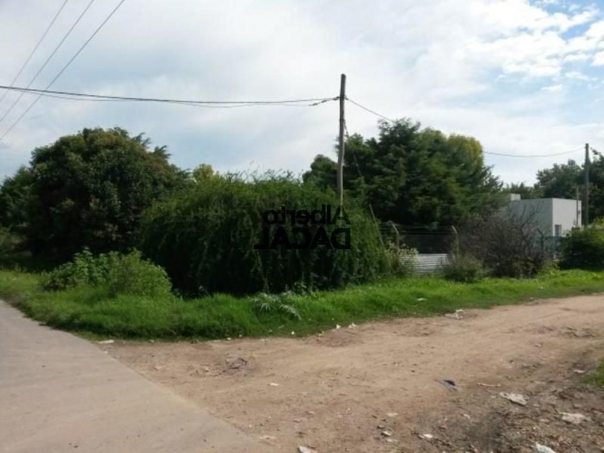 Земельный участок в Campo Creado, Аргентина № 50167