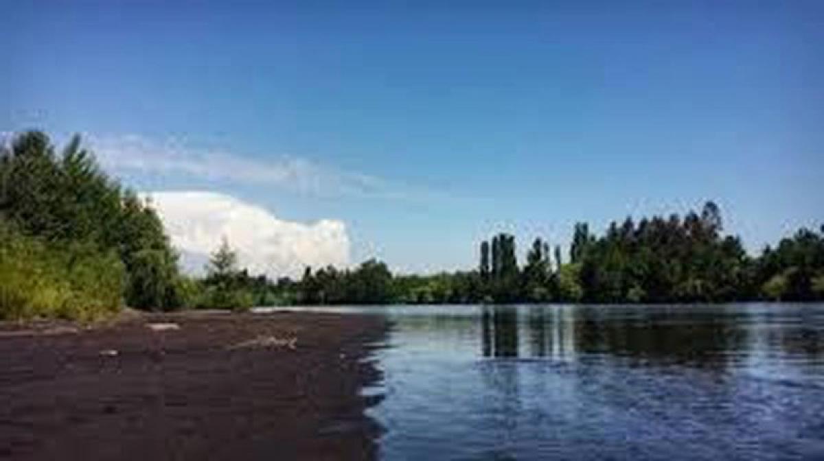 Propiedad comercial en Biobío, Chile 30000 m² No. 447