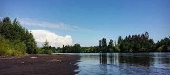 Propiedad comercial en Biobío, Chile 30000 m² No. 447 2