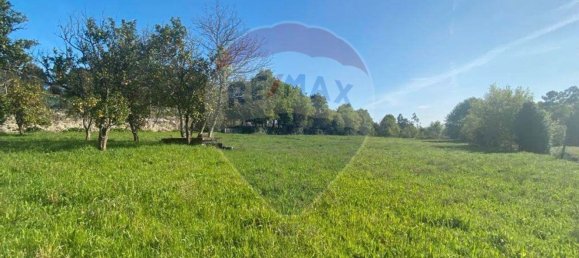 Grundstück in Vila Verde, Portugal 4850m², Nr. 158977 4