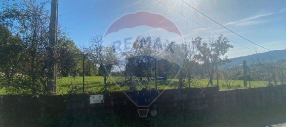 Grundstück in Vila Verde, Portugal 4850m², Nr. 158977 6