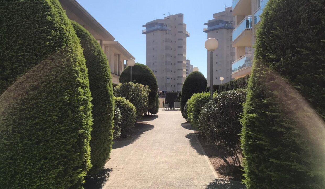2 bedrooms Apartment in Guardamar del Segura, Spain No. 22387