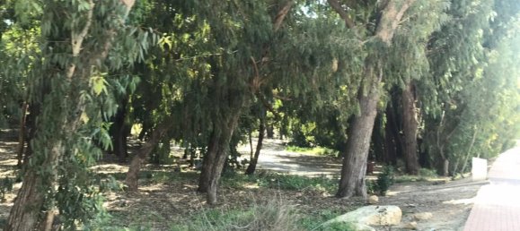 2 bedrooms Apartment in Guardamar del Segura, Spain No. 22387 15