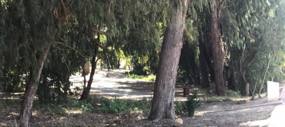 2 bedrooms Apartment in Guardamar del Segura, Spain No. 22387 16