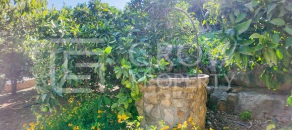 3 bedrooms House in Loule, Portugal No. 118188 34