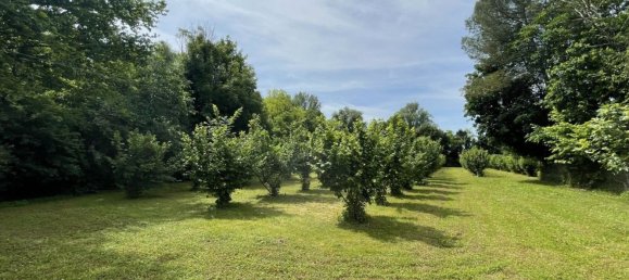 7800m² Land in Chiarano, Italy No. 261141 14