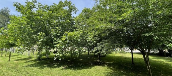 7800m² Land in Chiarano, Italy No. 261141 20