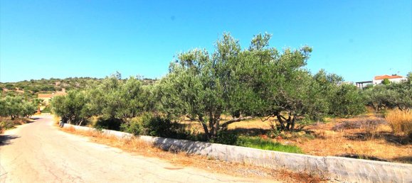 5500 m² hotel en venta en Lasithi, Crete, Greece № 7030 5