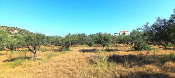 5500 m² hotel en venta en Lasithi, Crete, Greece № 7030 4