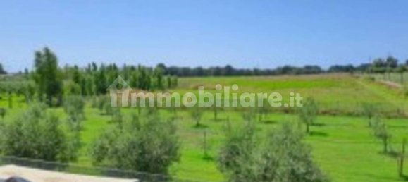 3 Schlafzimmer Haus in Latina, Italy, Nr. 208622 7