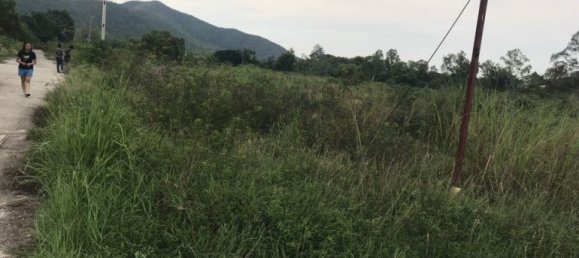  عقار تجاري في Pattaya, Thailand رقم 3426 3