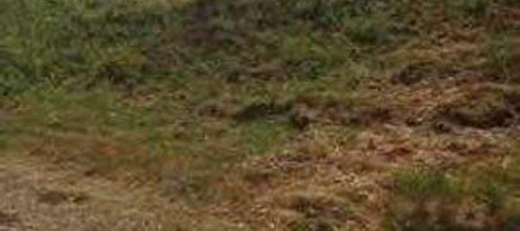 979m² Building in Battaglia Terme, Italy No. 60162 7