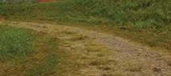 979m² Building in Battaglia Terme, Italy No. 60162 5