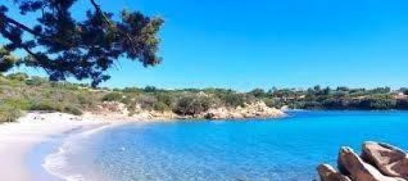 Квартира с 4 комнатами в Арцакена, Италия № 34398 16