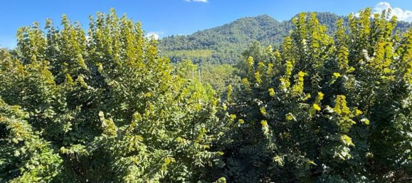 3 bedrooms Apartment in Sasso Marconi, Italy No. 376785 13