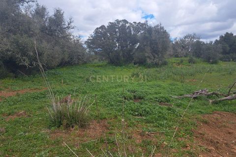  Land in Silves, Portugal No. 242877