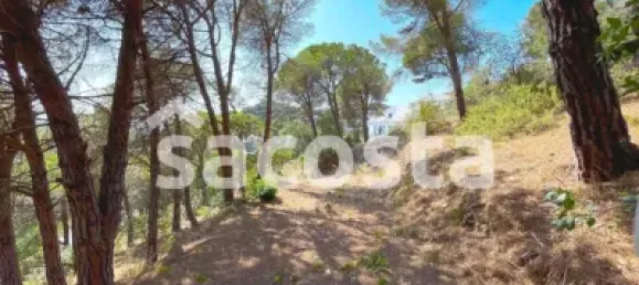 Земельный участок 2013м² в Бланес, Испания № 144309 12