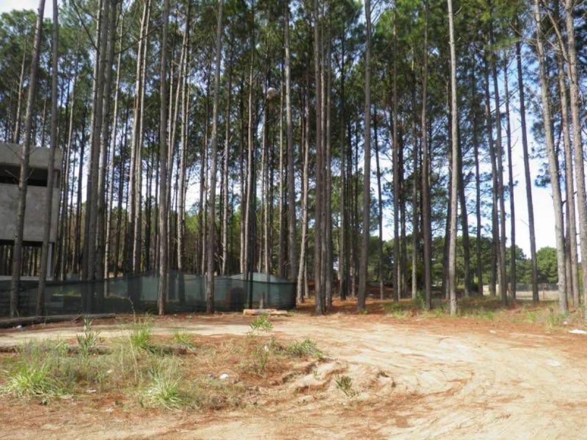  Land in Mar del Plata, Argentina No. 115356