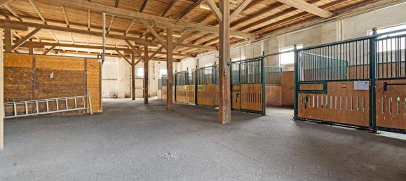 6غرفة بنغالو في Andlersdorf, Austria رقم 198324 9