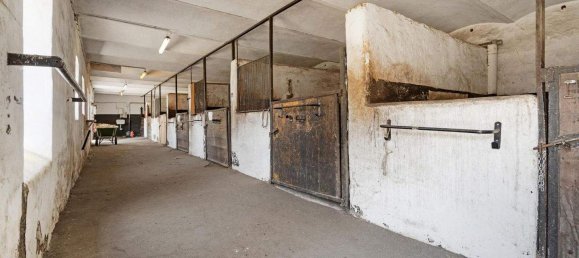 6غرفة بنغالو في Andlersdorf, Austria رقم 198324 11