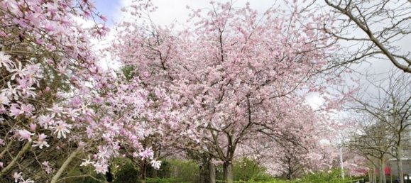 عقار تجاري في Paris, France 20متر مربع رقم 173000 5