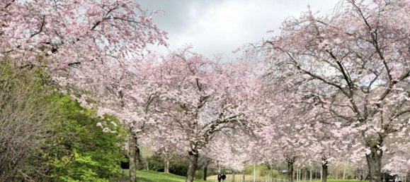 عقار تجاري في Paris, France 20متر مربع رقم 173000 4