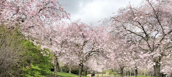 عقار تجاري في Paris, France 20متر مربع رقم 173000 6