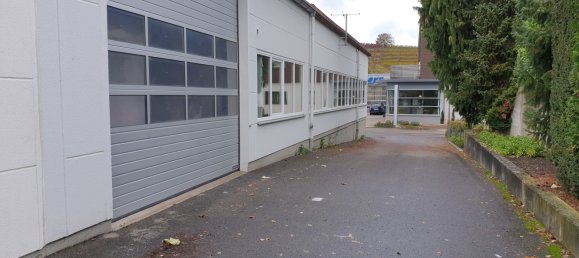 Коммерческая недвижимость 565м² в Хайльбронн, Германия № 44417 18