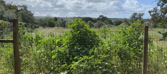 4709m² Land in Grandola, Portugal No. 142959 3