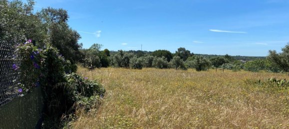 4709m² Land in Grandola, Portugal No. 142959 2