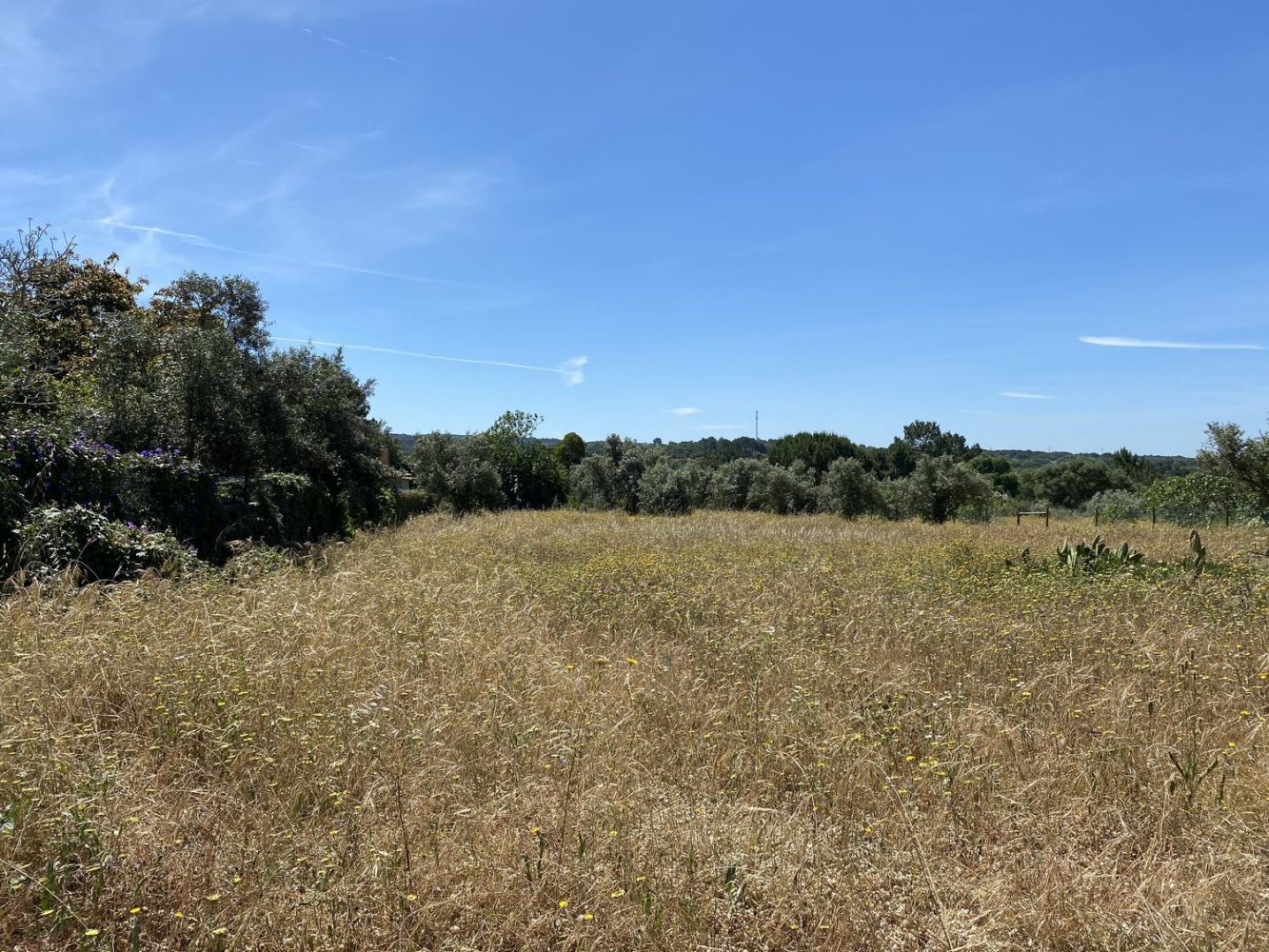 4709m² Land in Grandola, Portugal No. 142959