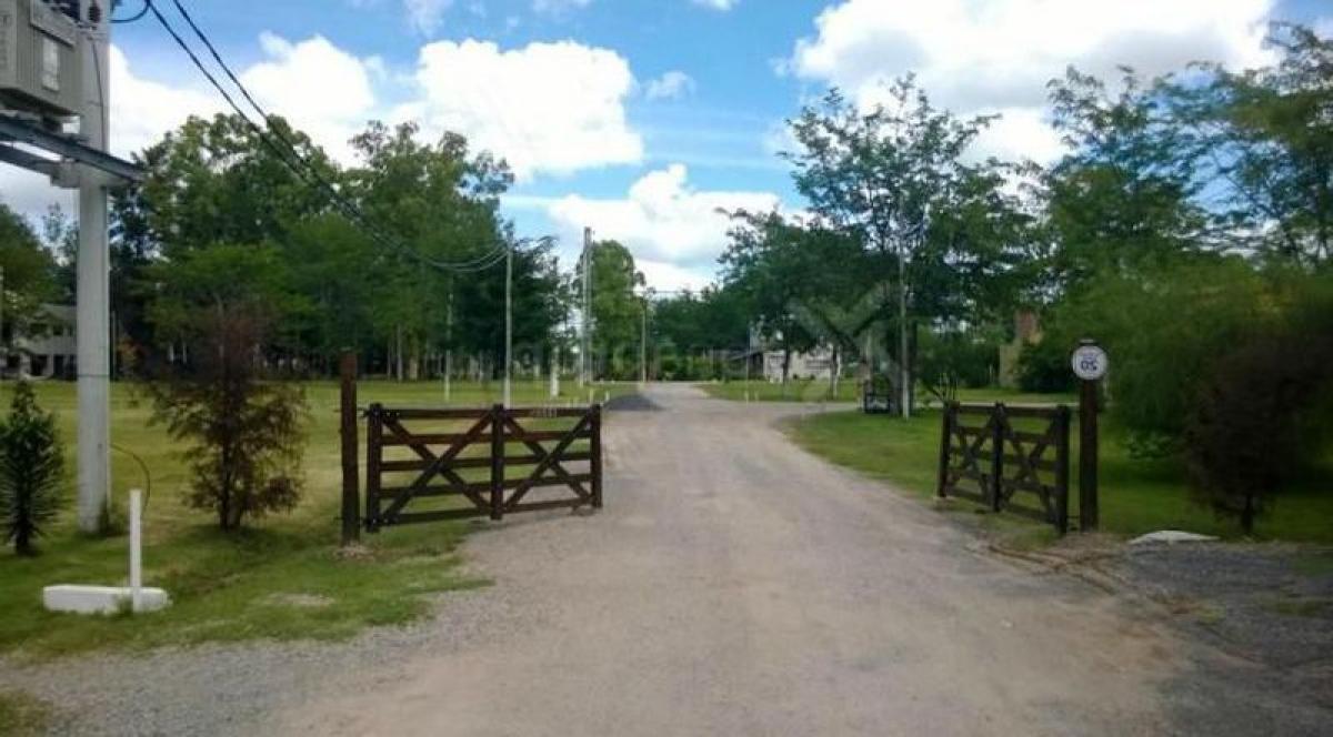  قطعة أرض في San Vicente, Argentina رقم 116121