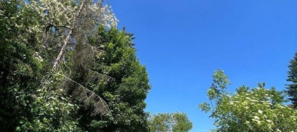  قطعة أرض في Saarbrucken, Germany رقم 287277 4