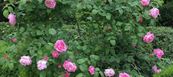 Villa de 14 habitaciónes en Quattro Castella, Italy No. 159381 28