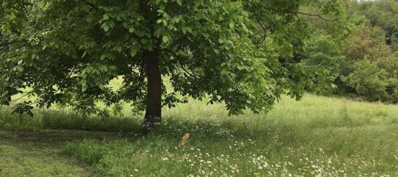 Villa de 14 habitaciónes en Quattro Castella, Italy No. 159381 21