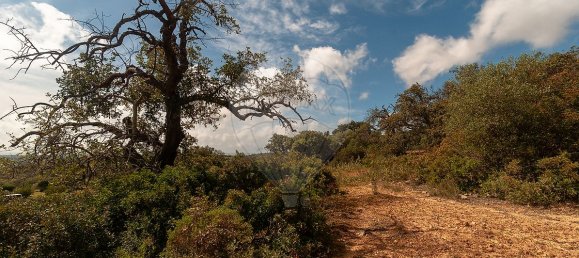 Terrain à Olhao, Portugal 114120m² No. 41797 27