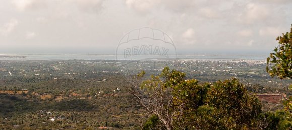 Terrain à Olhao, Portugal 114120m² No. 41797 9